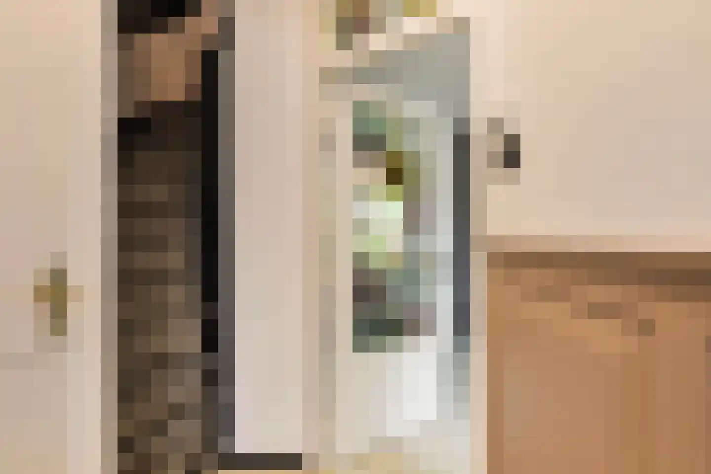 Rozemarijn 137 Wateringen thumbnail 8