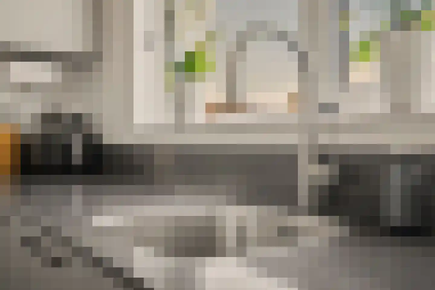 Rozemarijn 14 Vlijmen thumbnail 12