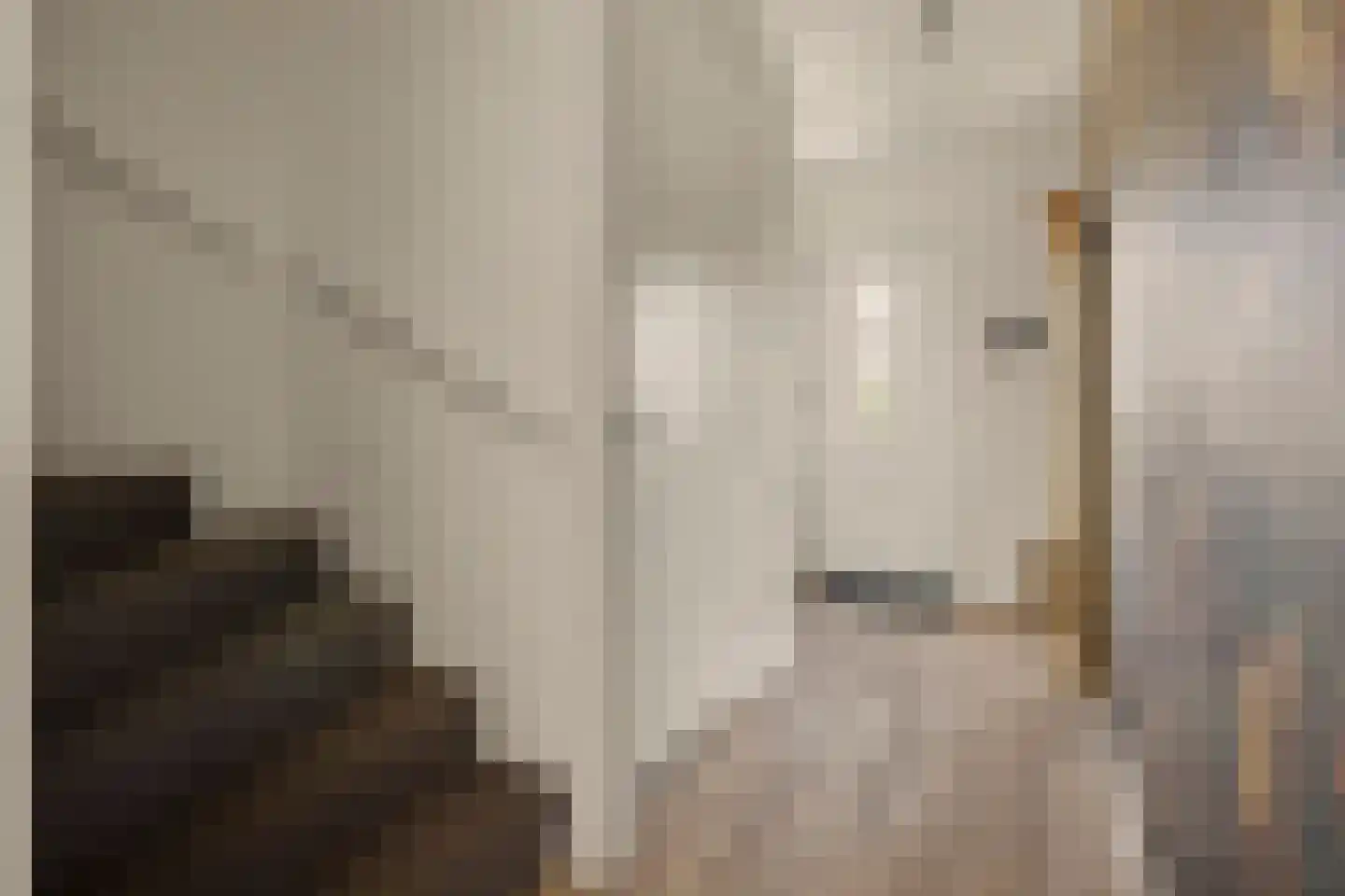 Rozemarijn 14 Vlijmen thumbnail 13
