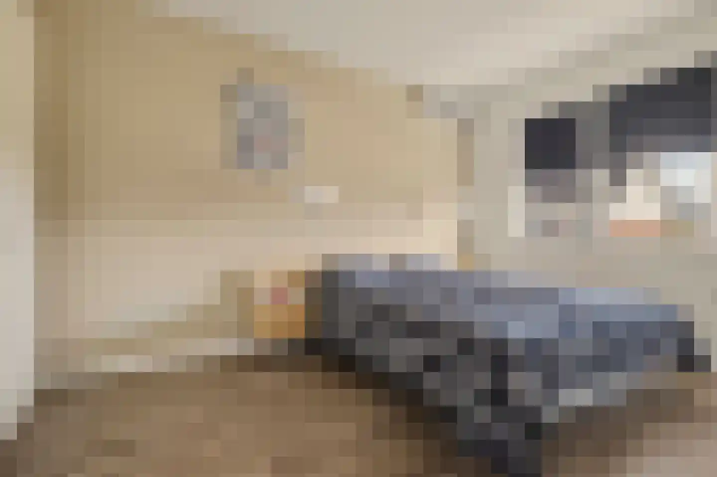 Rozemarijn 14 Vlijmen thumbnail 16