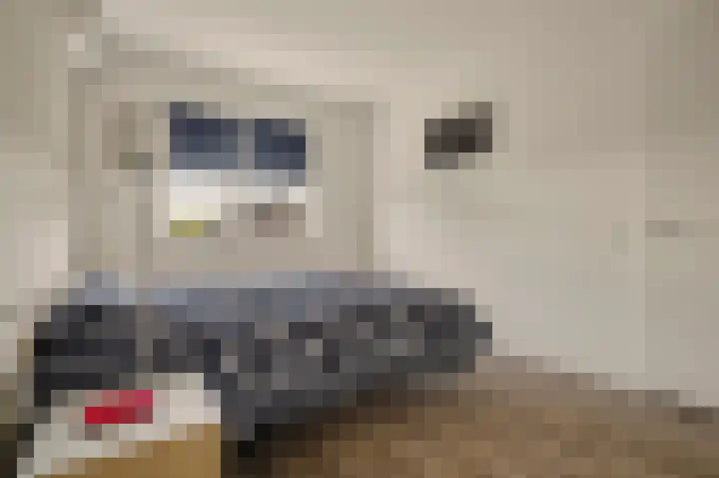 Rozemarijn 14 Vlijmen thumbnail 17