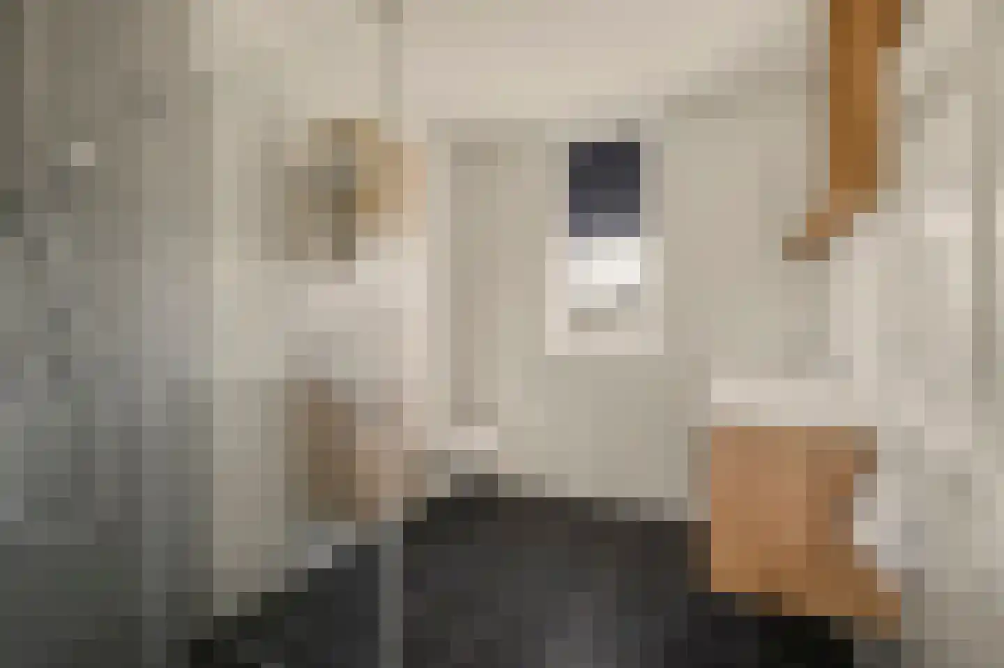 Rozemarijn 14 Vlijmen thumbnail 18