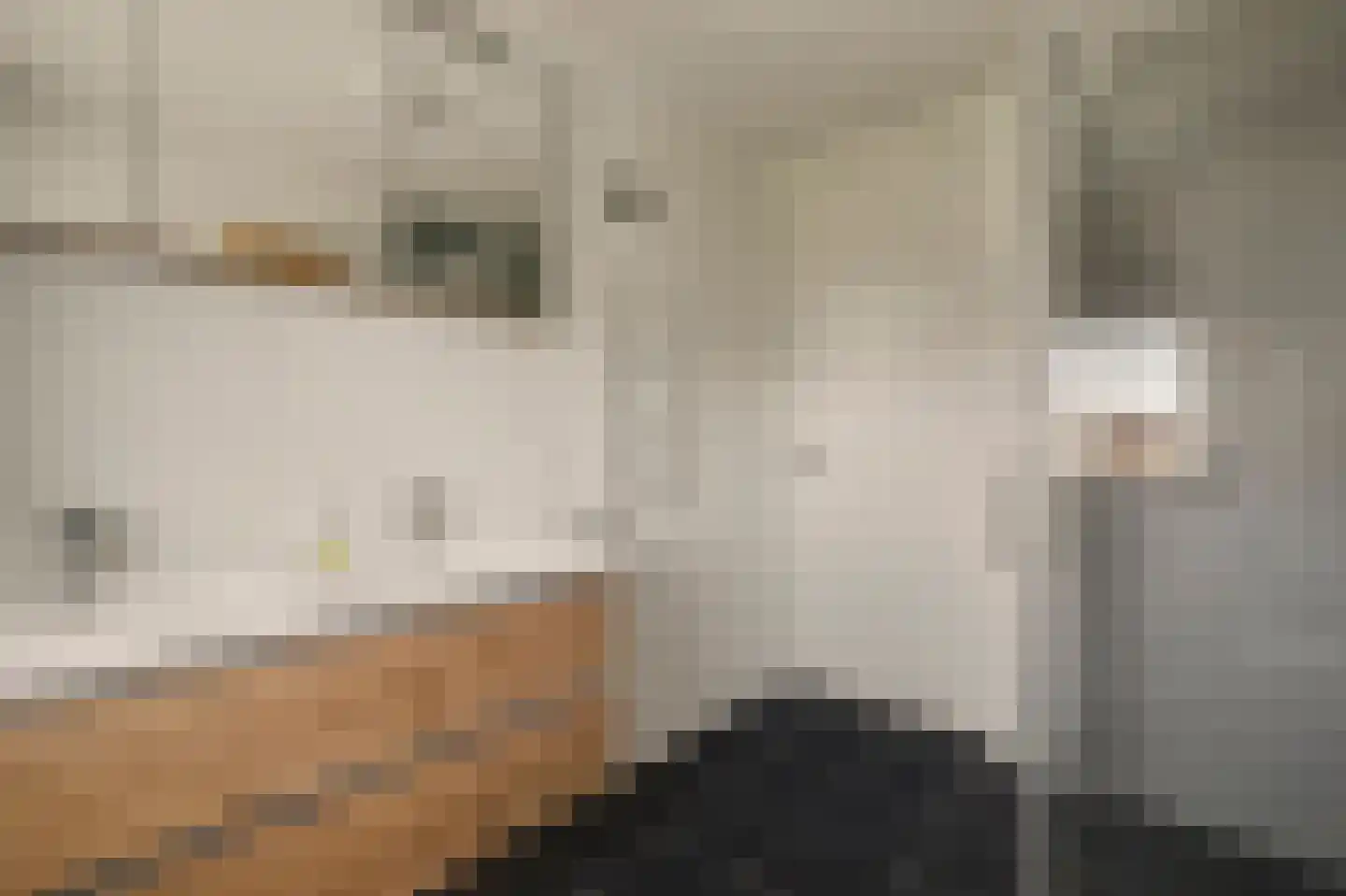 Rozemarijn 14 Vlijmen thumbnail 20