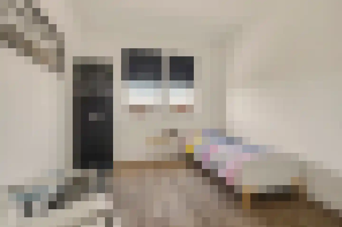 Rozemarijn 14 Vlijmen thumbnail 21