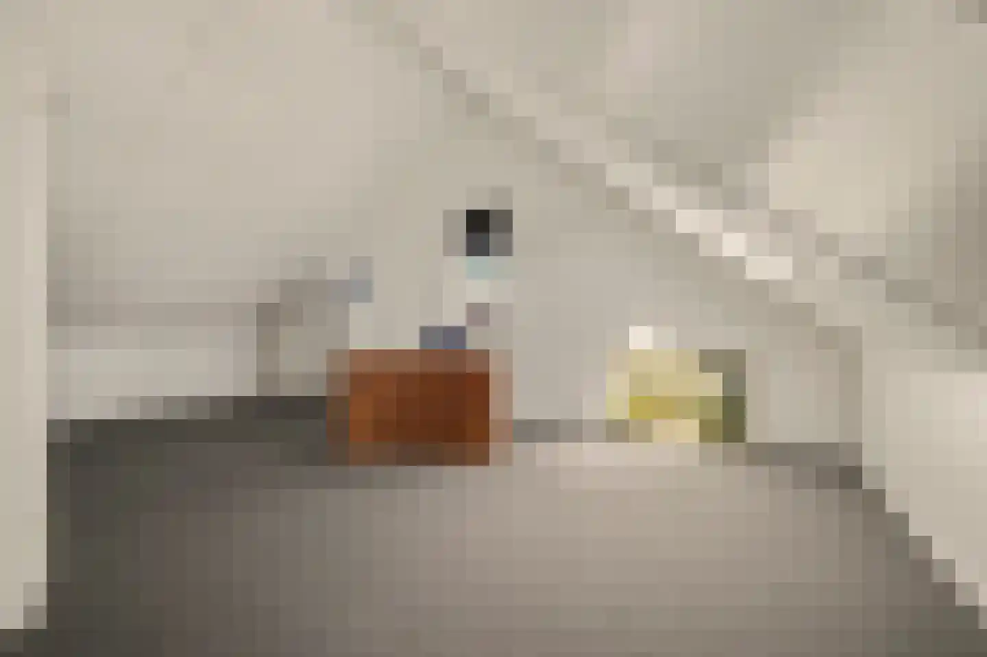 Rozemarijn 14 Vlijmen thumbnail 26