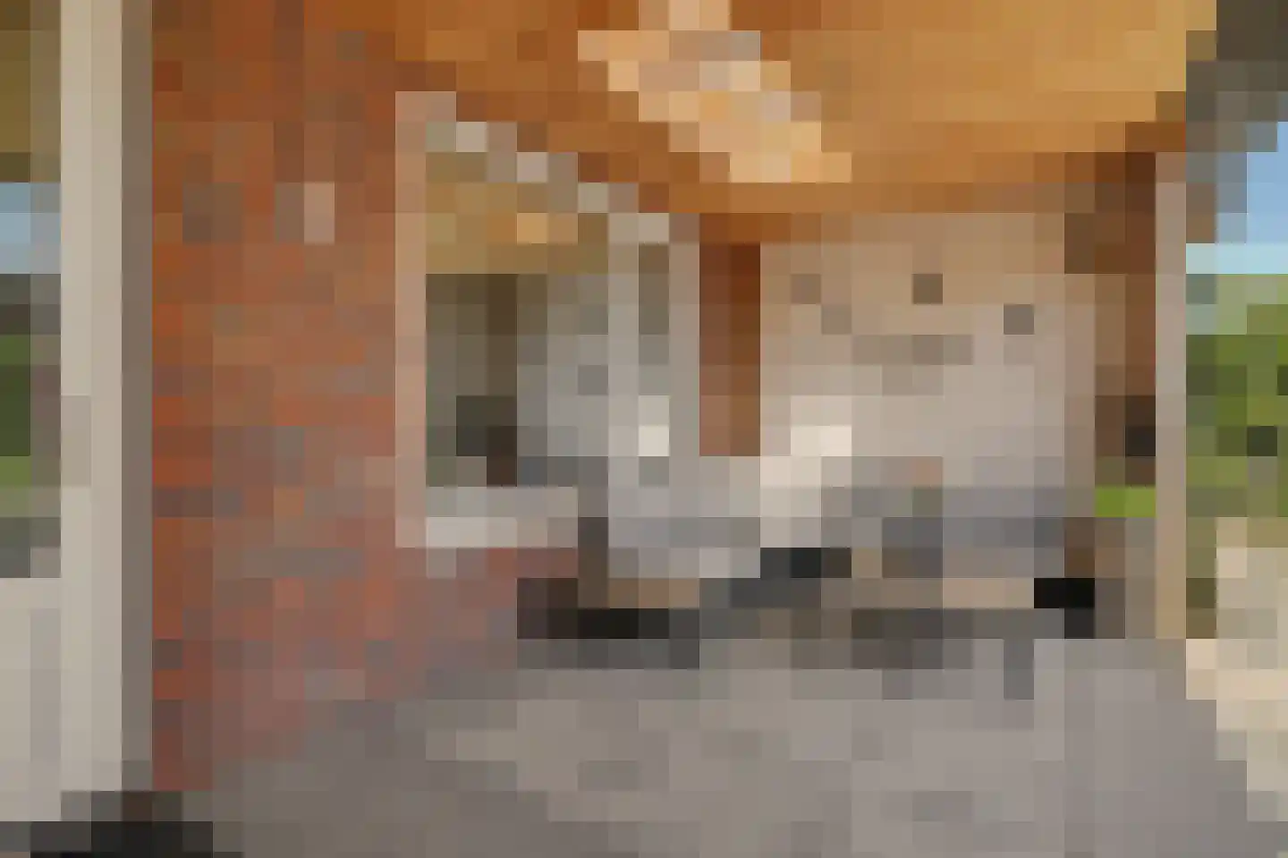 Rozemarijn 14 Vlijmen thumbnail 32