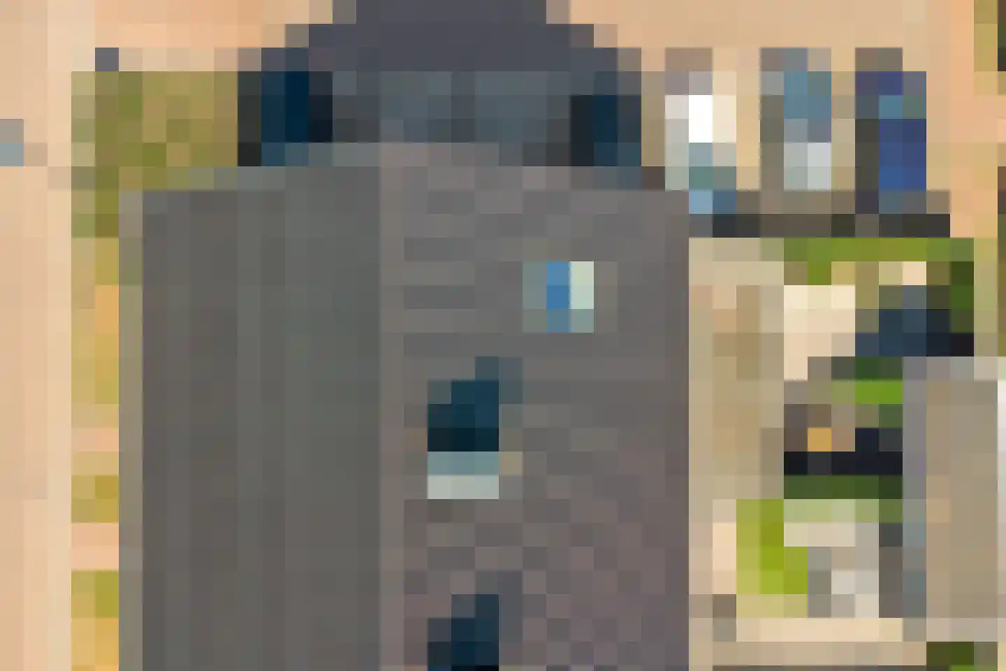 Rozemarijn 14 Vlijmen thumbnail 44