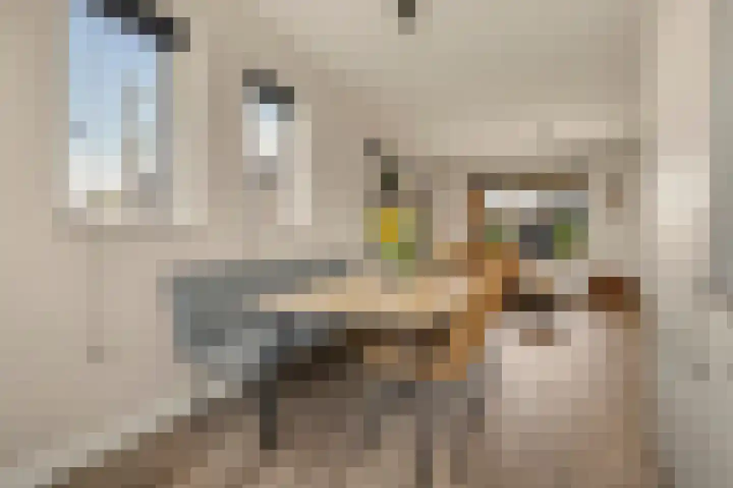 Rozemarijn 14 Vlijmen thumbnail 7