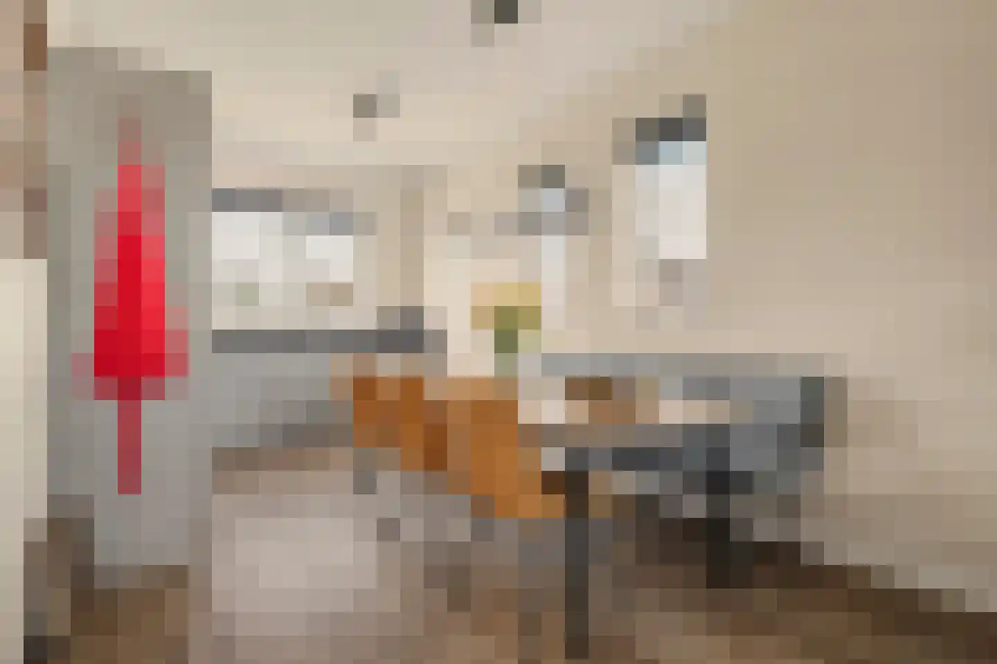 Rozemarijn 14 Vlijmen thumbnail 8