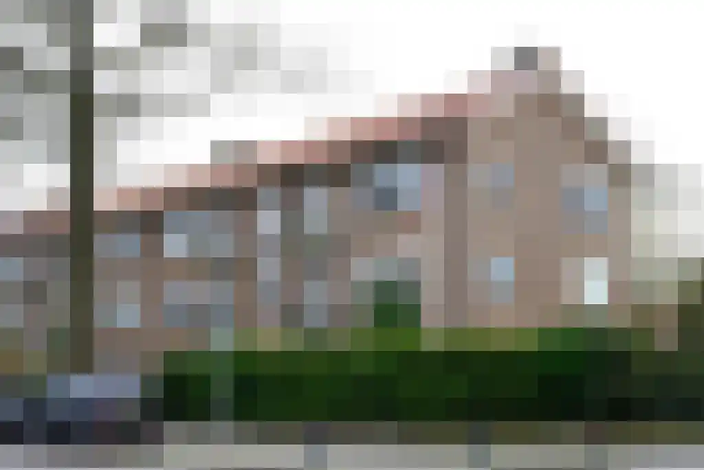 Rozemarijn 14 Vroomshoop thumbnail 10