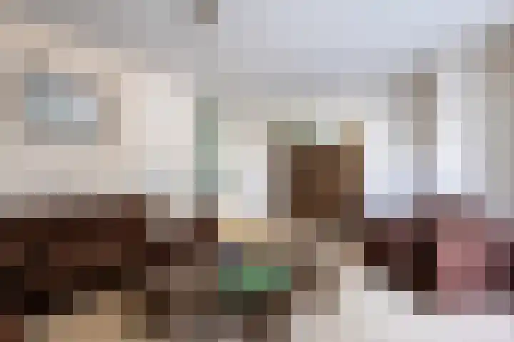 Rozemarijn 14 Vroomshoop thumbnail 11