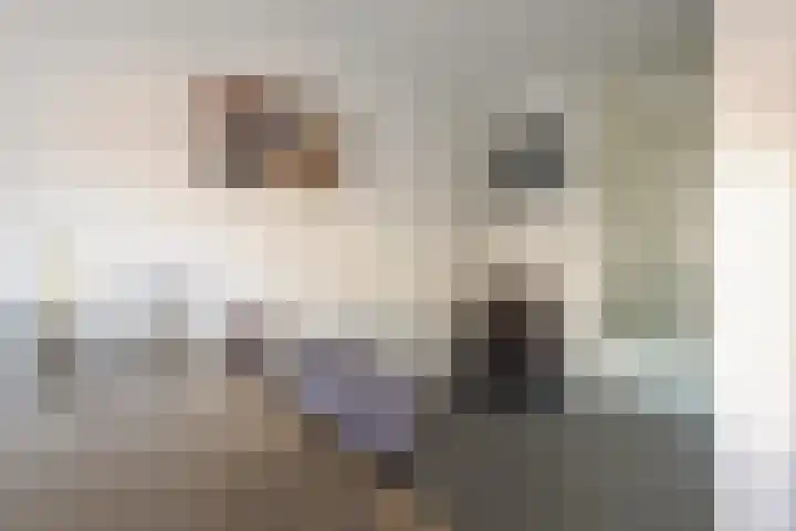 Rozemarijn 14 Vroomshoop thumbnail 12