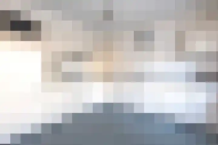 Rozemarijn 14 Vroomshoop thumbnail 13