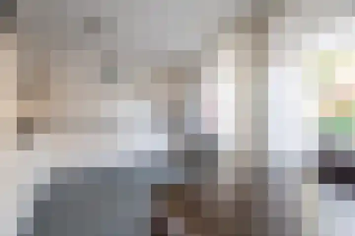 Rozemarijn 14 Vroomshoop thumbnail 14