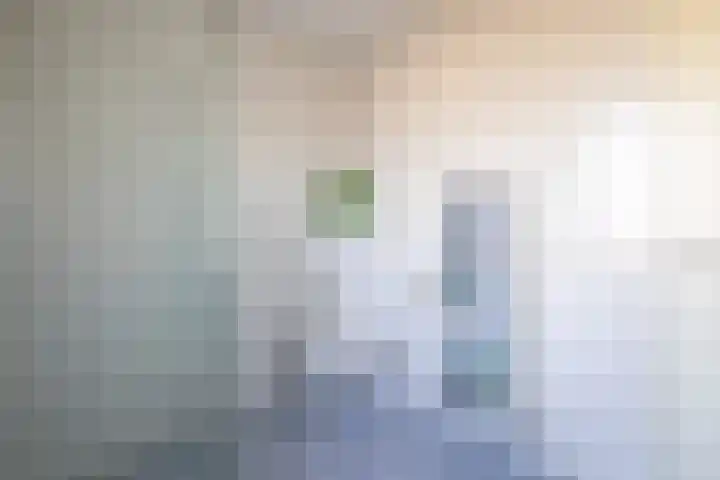 Rozemarijn 14 Vroomshoop thumbnail 20