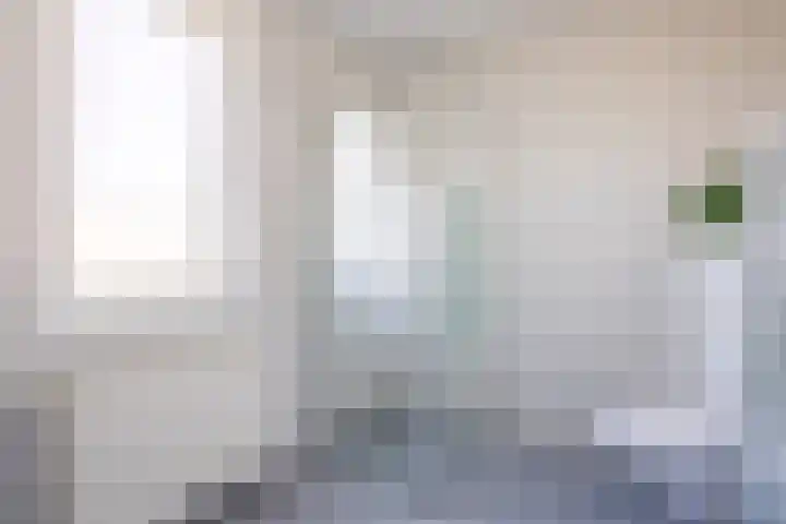 Rozemarijn 14 Vroomshoop thumbnail 21