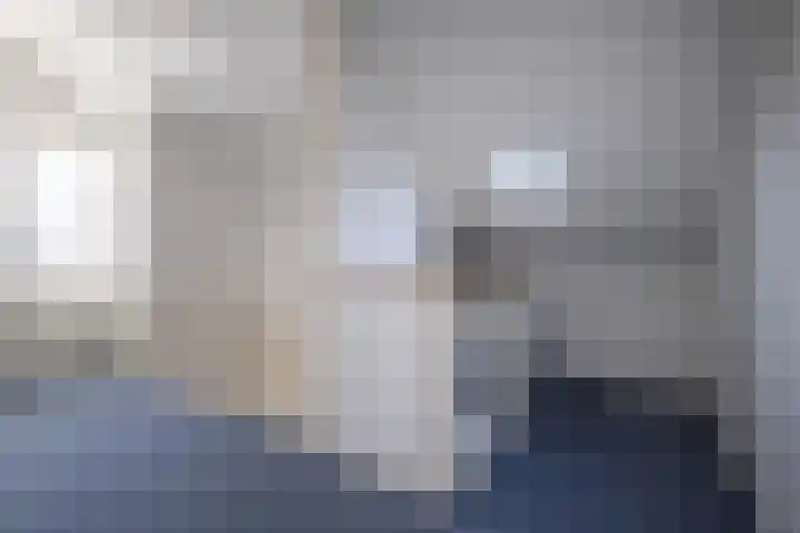 Rozemarijn 14 Vroomshoop thumbnail 23