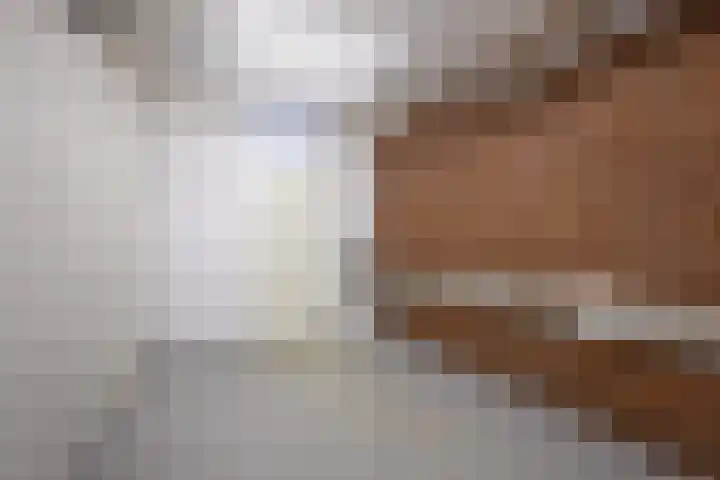 Rozemarijn 14 Vroomshoop thumbnail 27