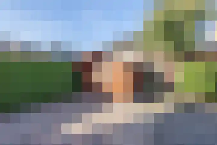 Rozemarijn 14 Vroomshoop thumbnail 32