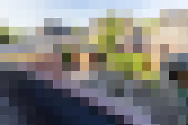 Rozemarijn 14 Vroomshoop thumbnail 33