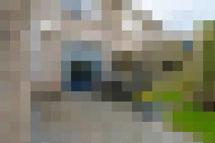 Rozemarijn 14 Vroomshoop thumbnail 35
