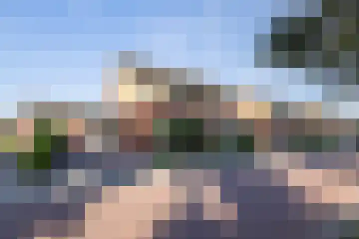 Rozemarijn 14 Vroomshoop thumbnail 38