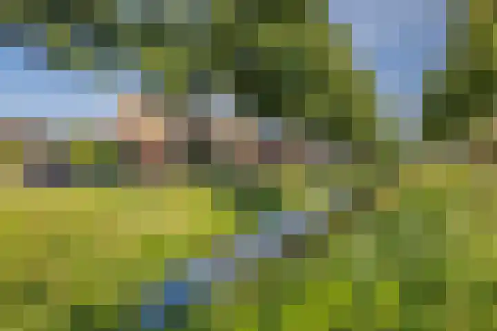 Rozemarijn 14 Vroomshoop thumbnail 39