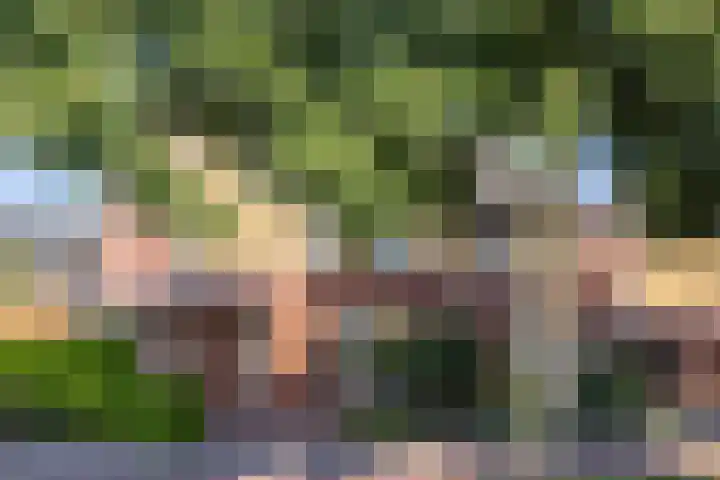 Rozemarijn 14 Vroomshoop thumbnail 4