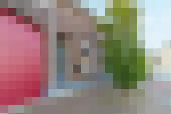 Rozemarijn 14 Vroomshoop thumbnail 7