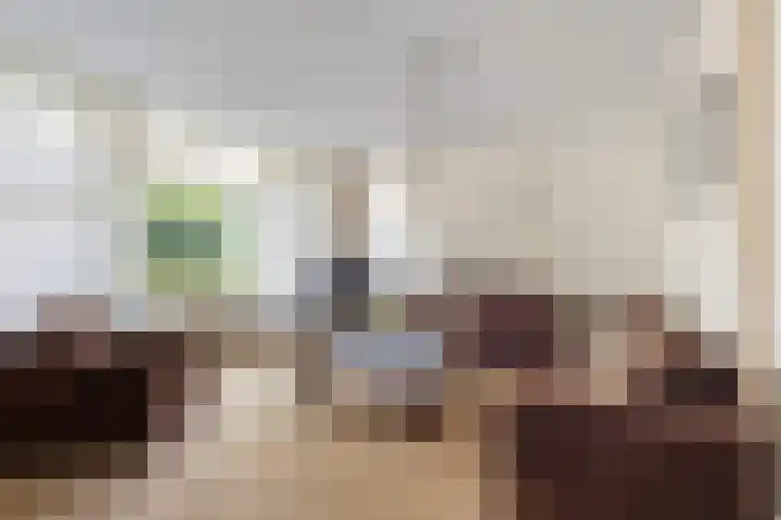 Rozemarijn 14 Vroomshoop thumbnail 8