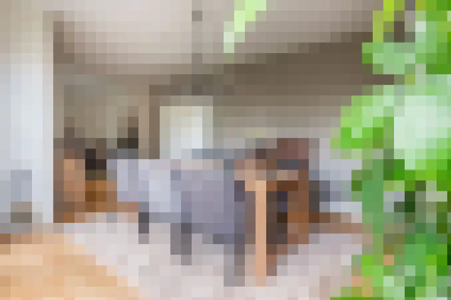 Rozemarijn 16 Gendringen thumbnail 16