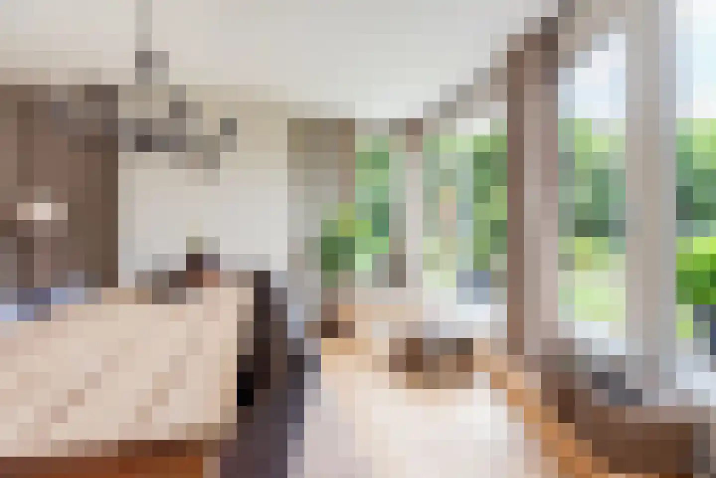 Rozemarijn 16 Gendringen thumbnail 17