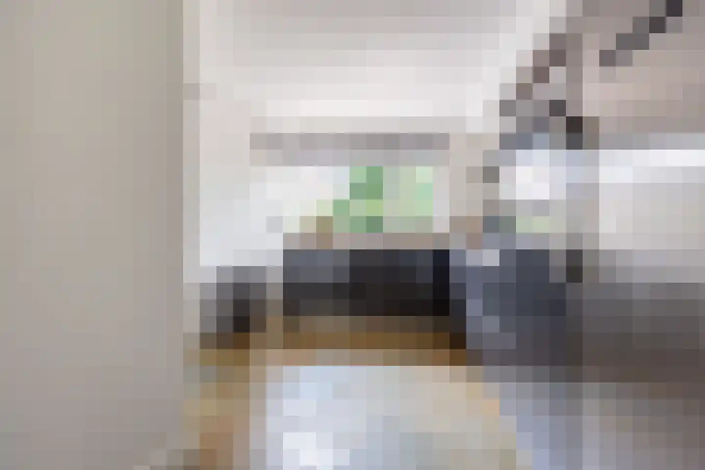 Rozemarijn 16 Gendringen thumbnail 21
