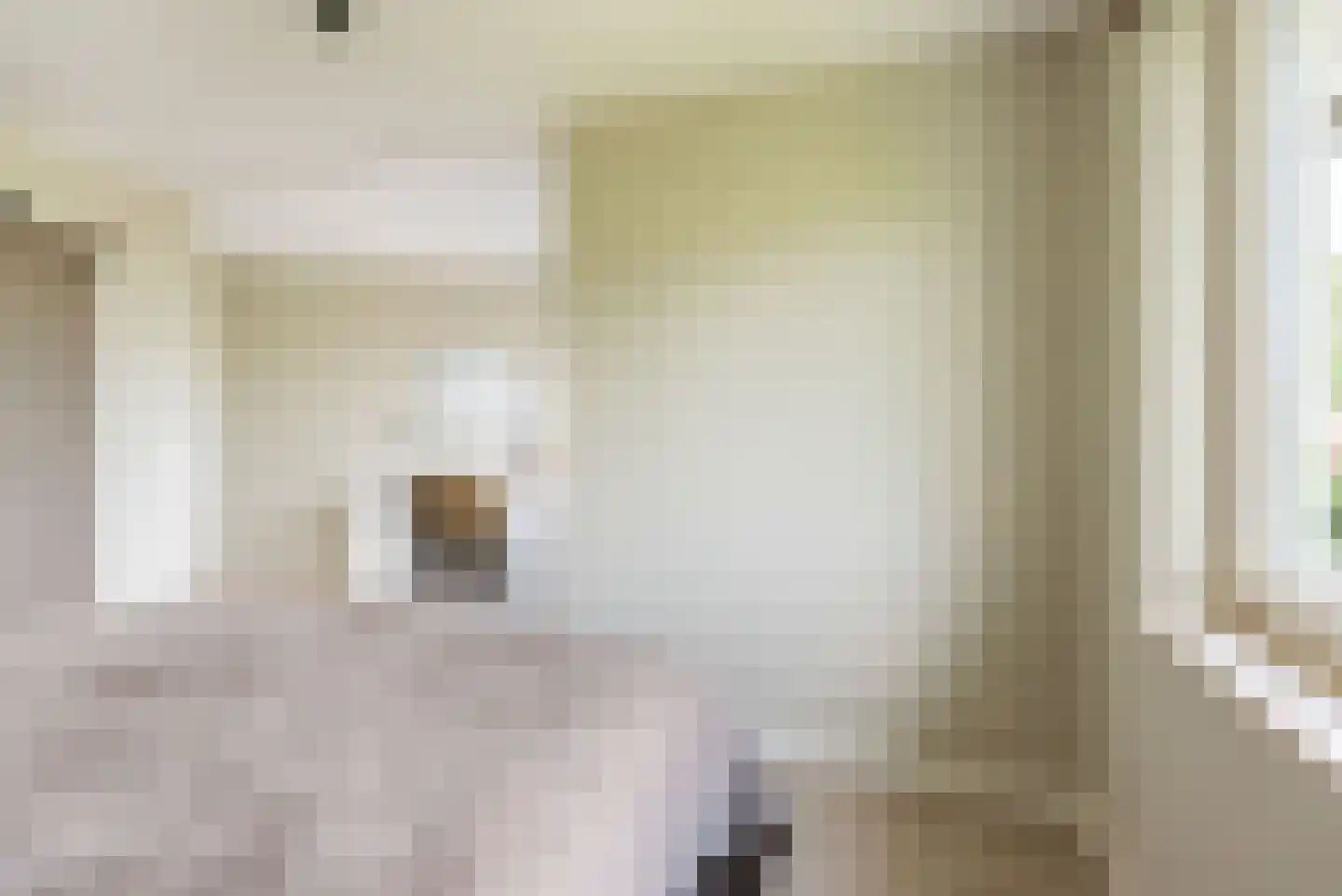 Rozemarijn 16 Gendringen thumbnail 31