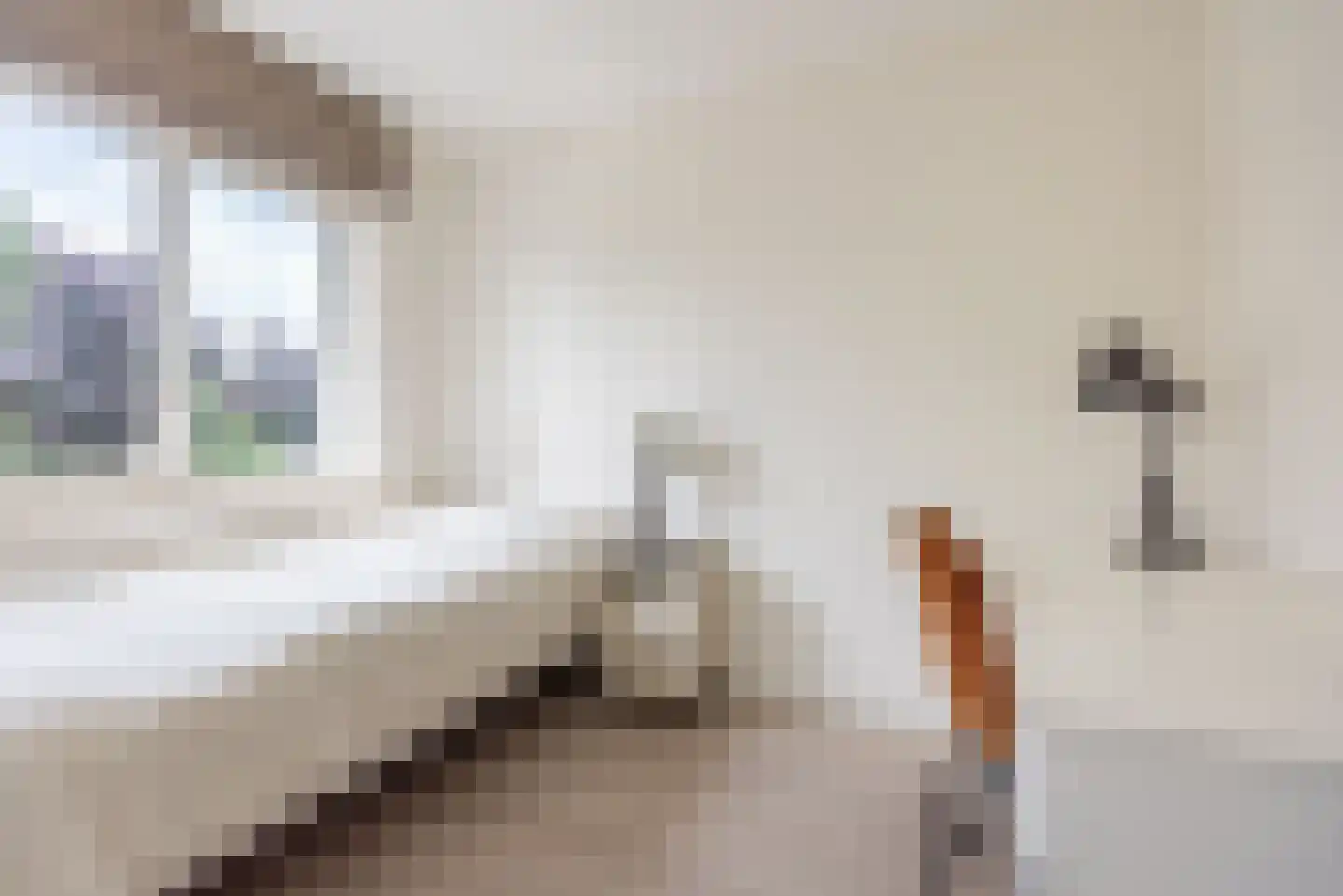 Rozemarijn 16 Gendringen thumbnail 34