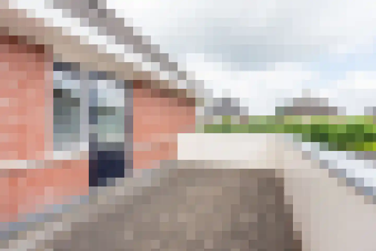 Rozemarijn 16 Gendringen thumbnail 37