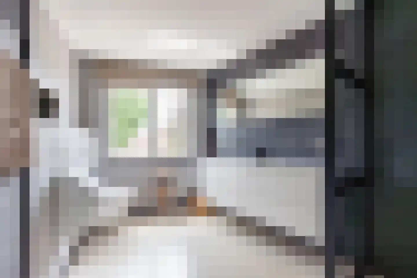 Rozemarijn 16 Gendringen thumbnail 39