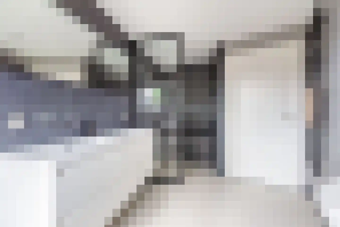 Rozemarijn 16 Gendringen thumbnail 40