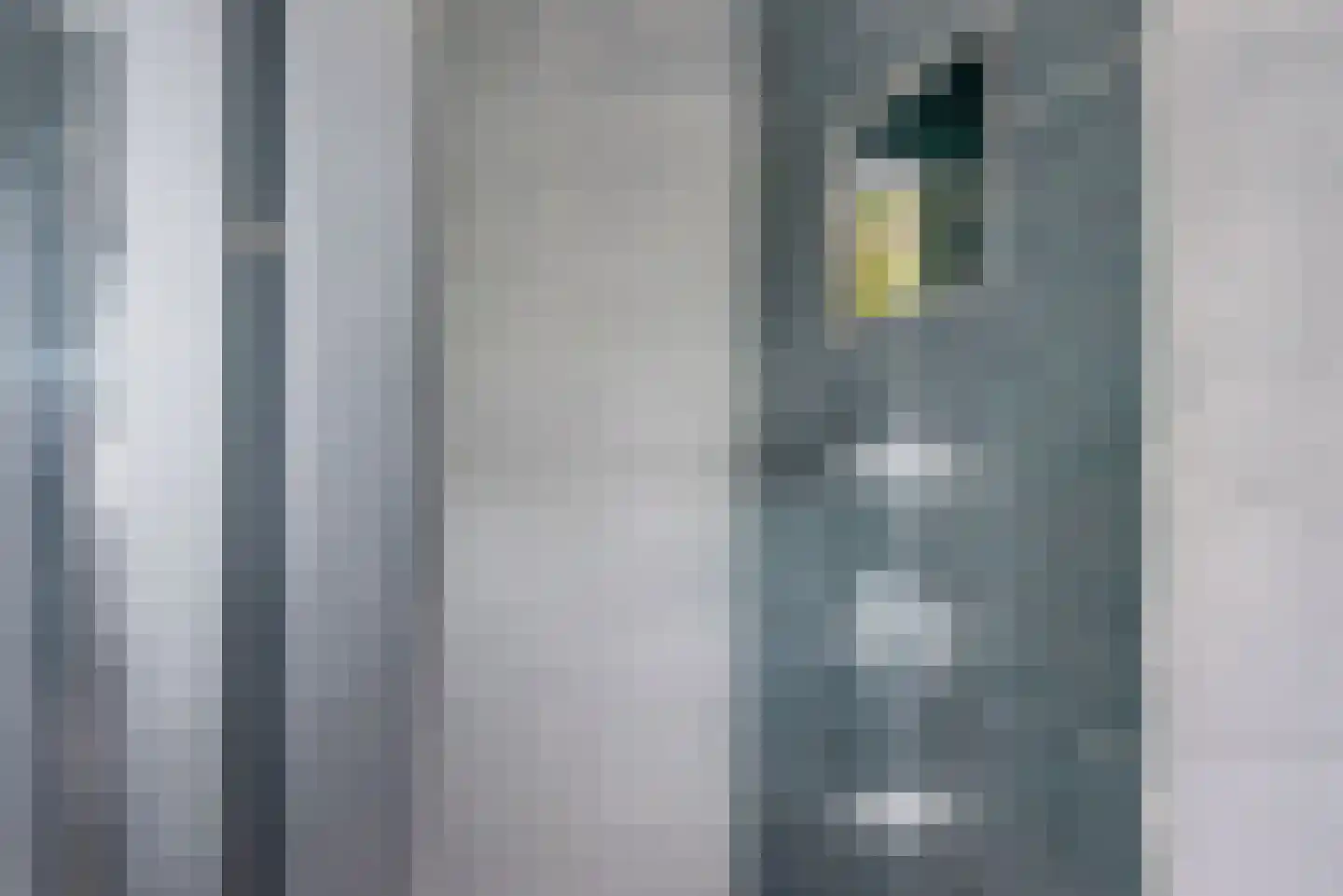 Rozemarijn 16 Gendringen thumbnail 42
