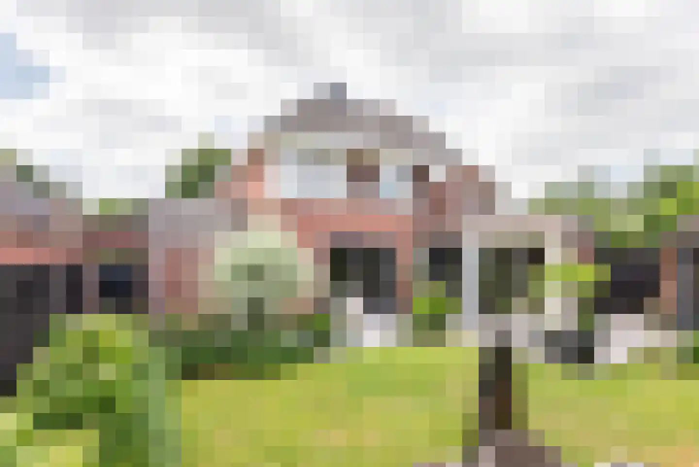 Rozemarijn 16 Gendringen thumbnail 47