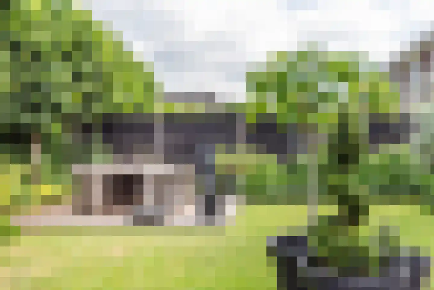 Rozemarijn 16 Gendringen thumbnail 48