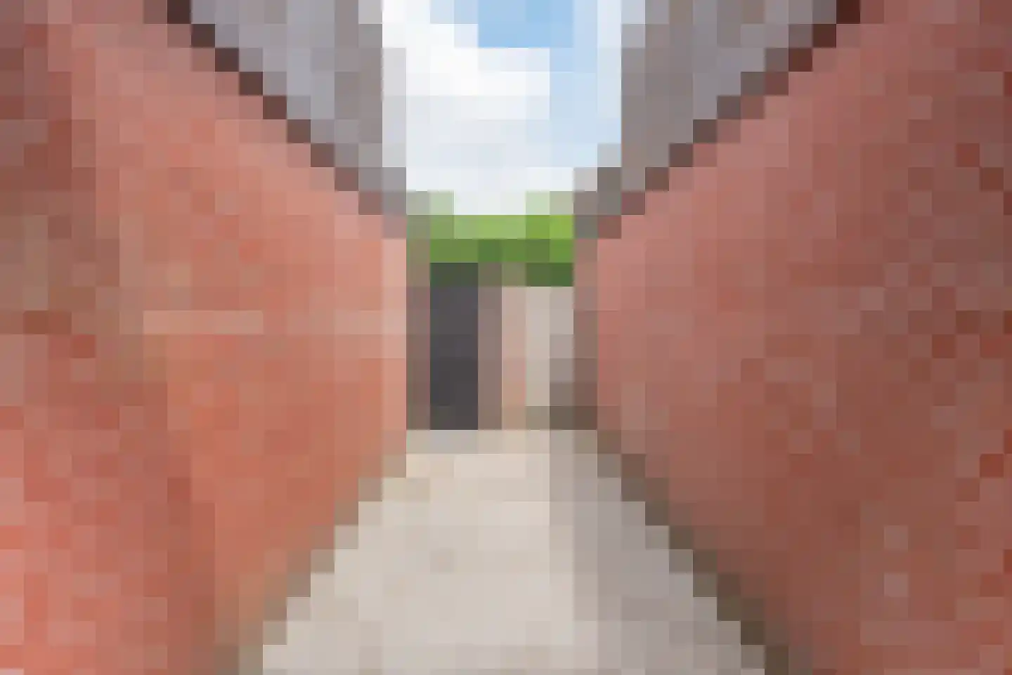 Rozemarijn 16 Gendringen thumbnail 56