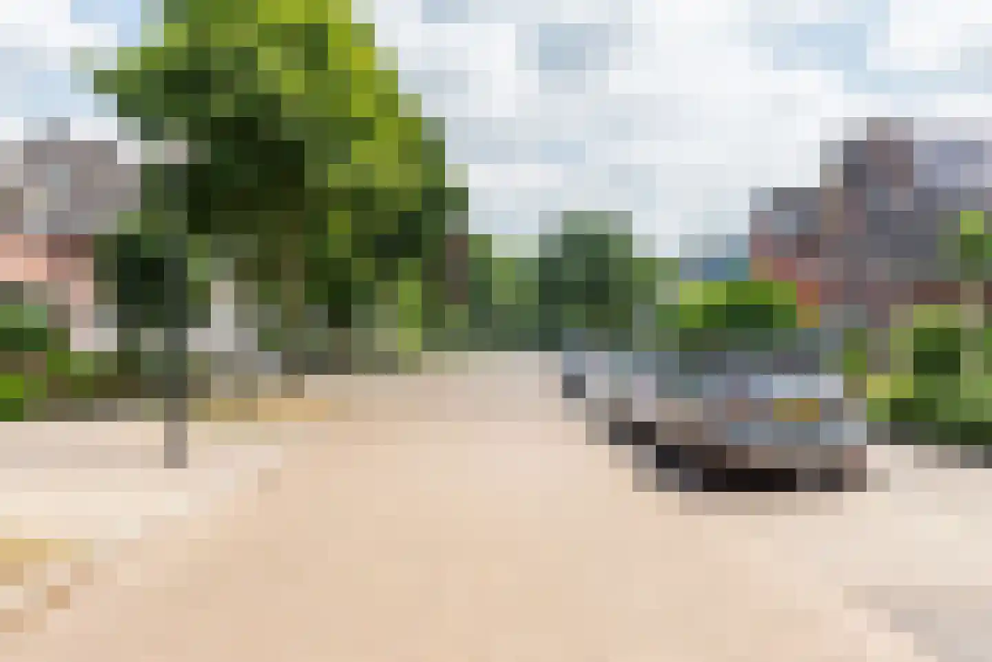 Rozemarijn 16 Gendringen thumbnail 57
