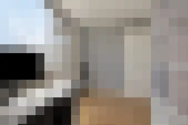 Rozemarijn 17 Monster thumbnail 10
