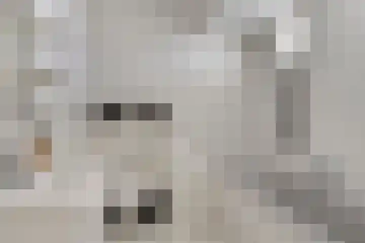 Rozemarijn 17 Monster thumbnail 12