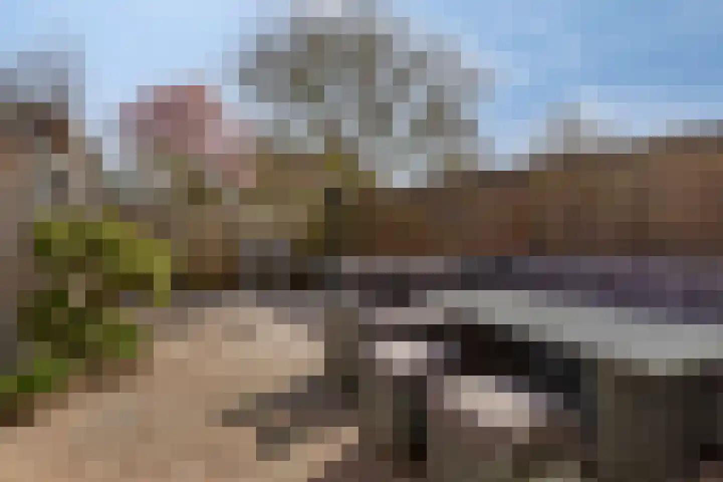 Rozemarijn 17 Monster thumbnail 18