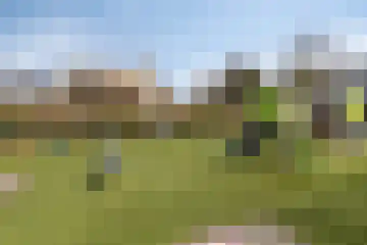 Rozemarijn 17 Monster thumbnail 26