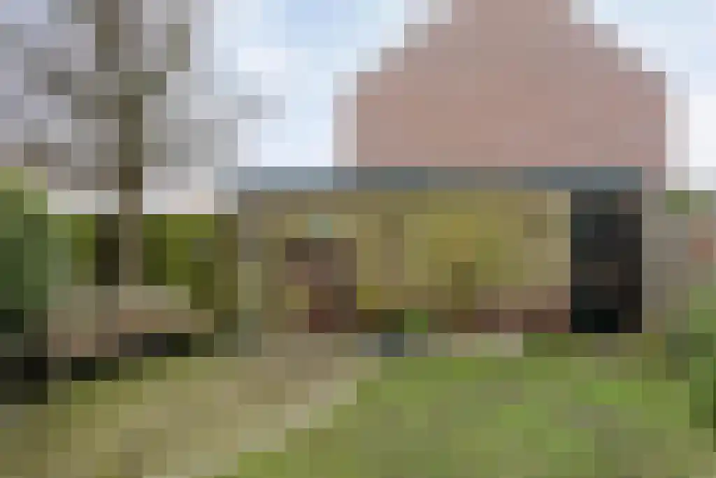 Rozemarijn 189 Wateringen thumbnail 26