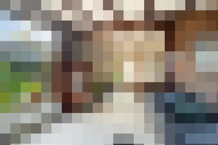 Rozemarijn 2 Wateringen thumbnail 15