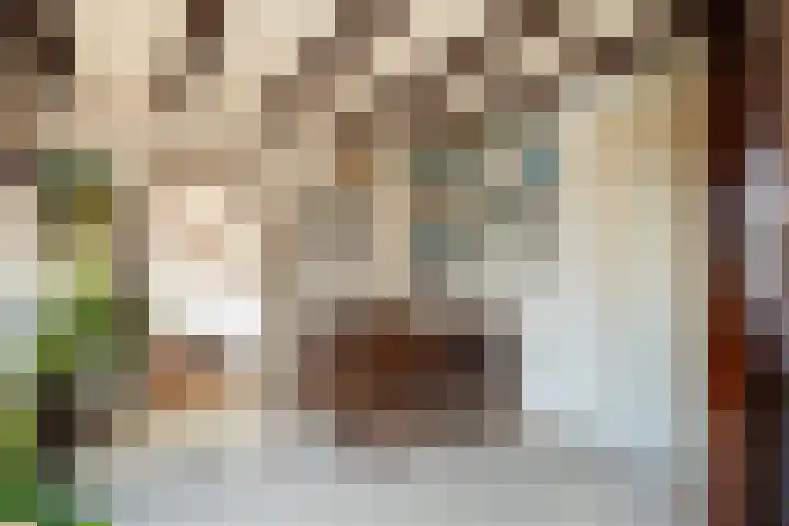Rozemarijn 2 Wateringen thumbnail 18
